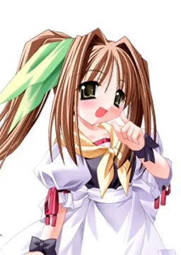 矢口 茉理