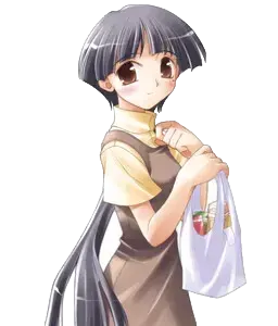 高月琳