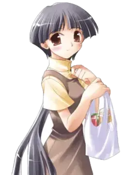 高月琳