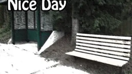 Nice Day