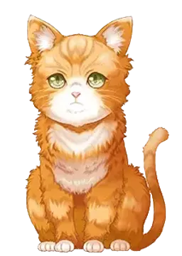 仔猫