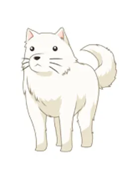 チェリー