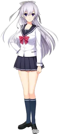 桂木 紫苑