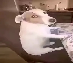 Hqmr_Fyd