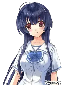 夢川 珠姫