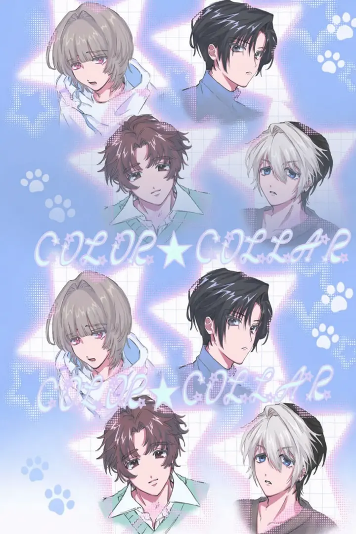 COLOR☆COLLAR