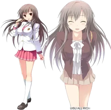 篝火 夏帆