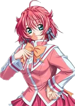 向坂 つぼみ