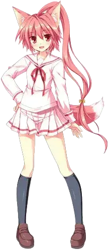 高坂 真琴