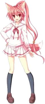高坂 真琴