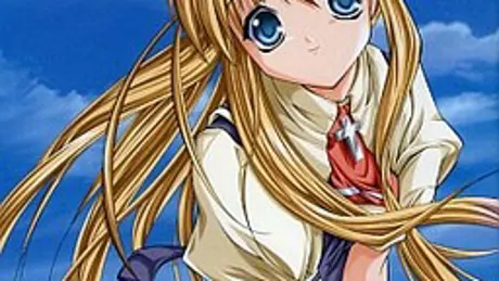 Series Banner 4