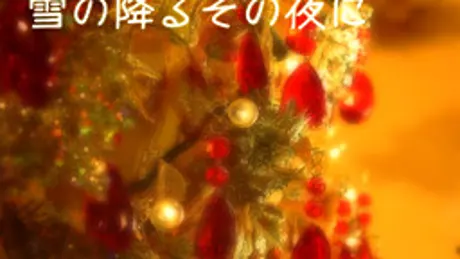 雪の降るその夜に