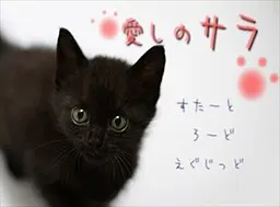 愛しのサラ