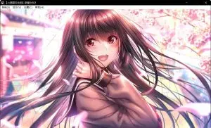 d264d92f1c5d65bda52e96bd24b99bb2\_17926cb26ae02.webp-300x182.jpg