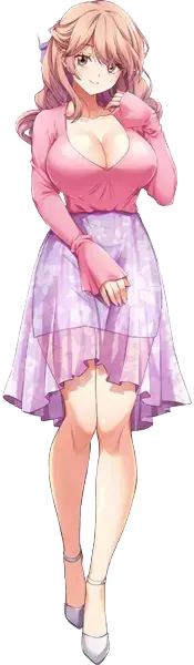 新岛燕