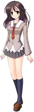 相浦由美