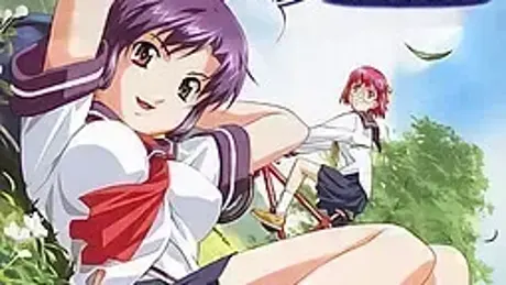 セパレイトブルー
