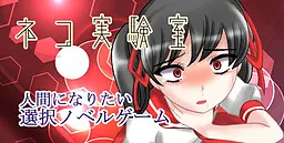 猫实验室