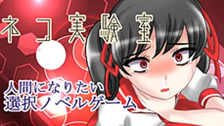 ネコ実験室