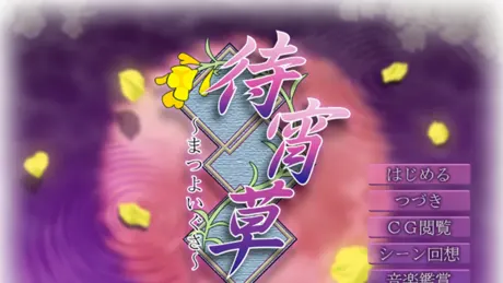 待宵草