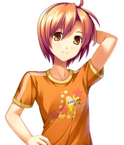 阿贺野光