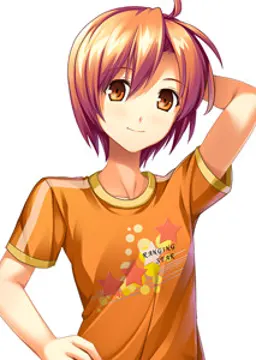 阿贺野光
