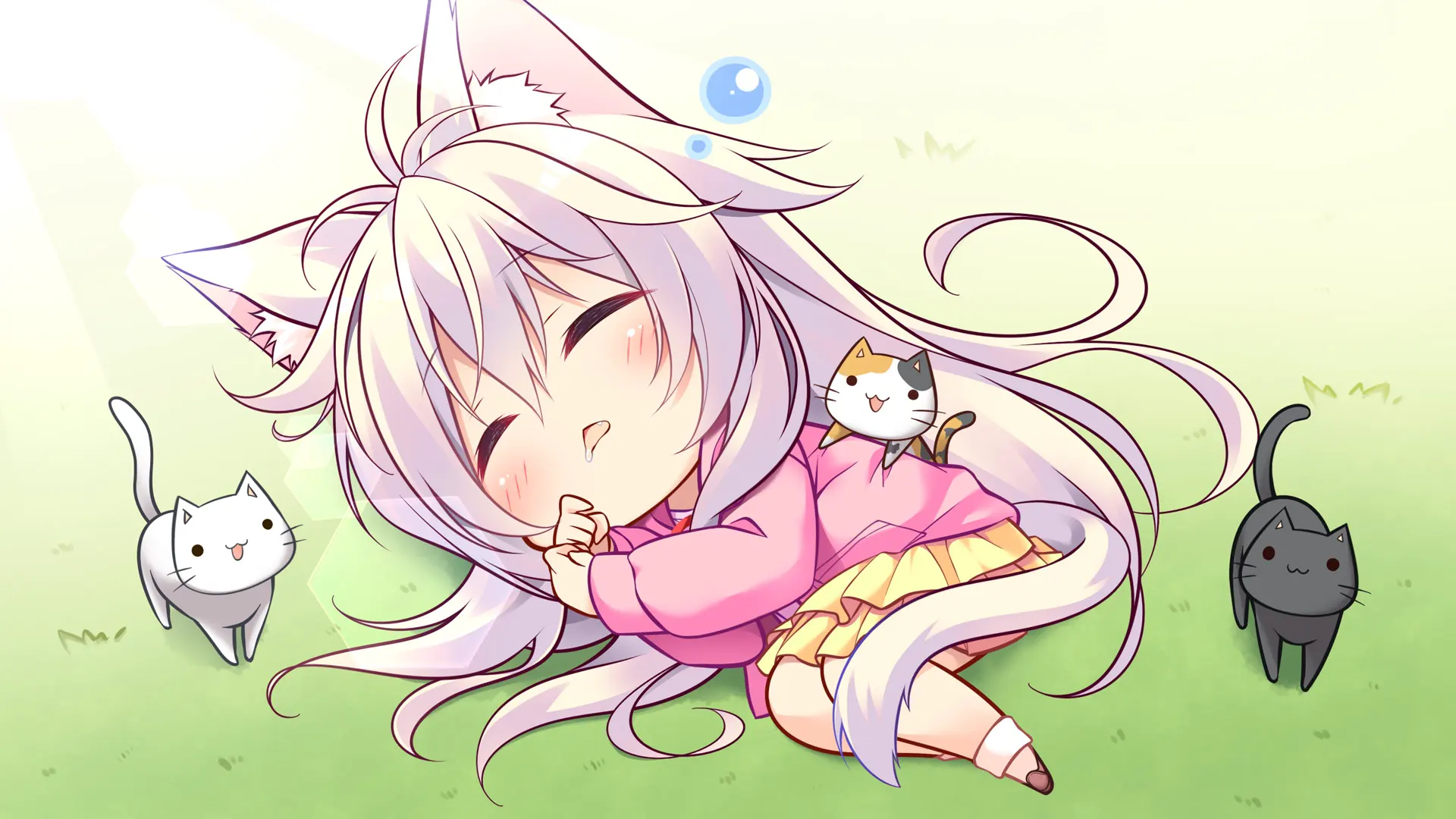 c33f35b1