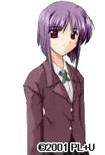 紫苑