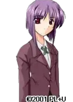 紫苑