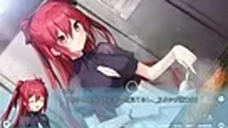 与鲨鱼共度的七日间