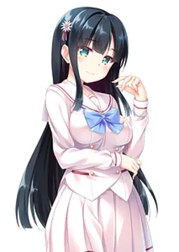梼木 白菊