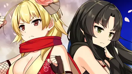Moe! Ninja Girls