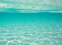 海的化身