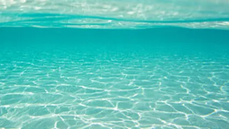 海の化身