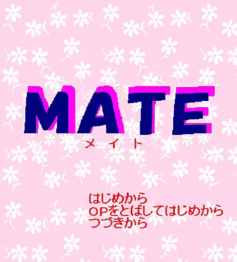 MATE　～メイト～