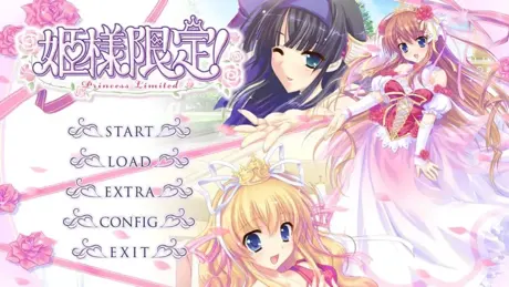 姫様限定！～Princess Limited～