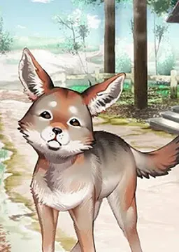 Pup