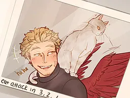 VALENTINES DAY: HAWKS