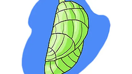 This Is Not My Skin