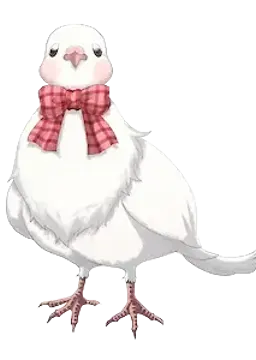 ティクヴァ