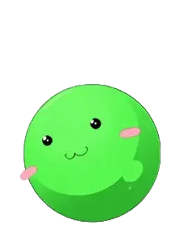 玉老师