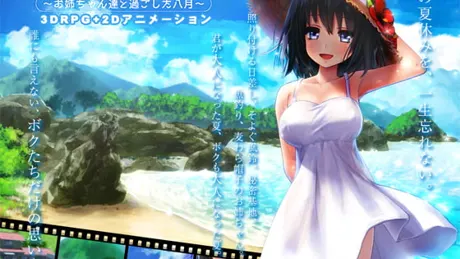 ボクのHな夏の思い出～お姉ちゃん達と過ごした八月～
