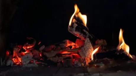 Warm Solace