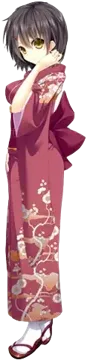 闲伞梅