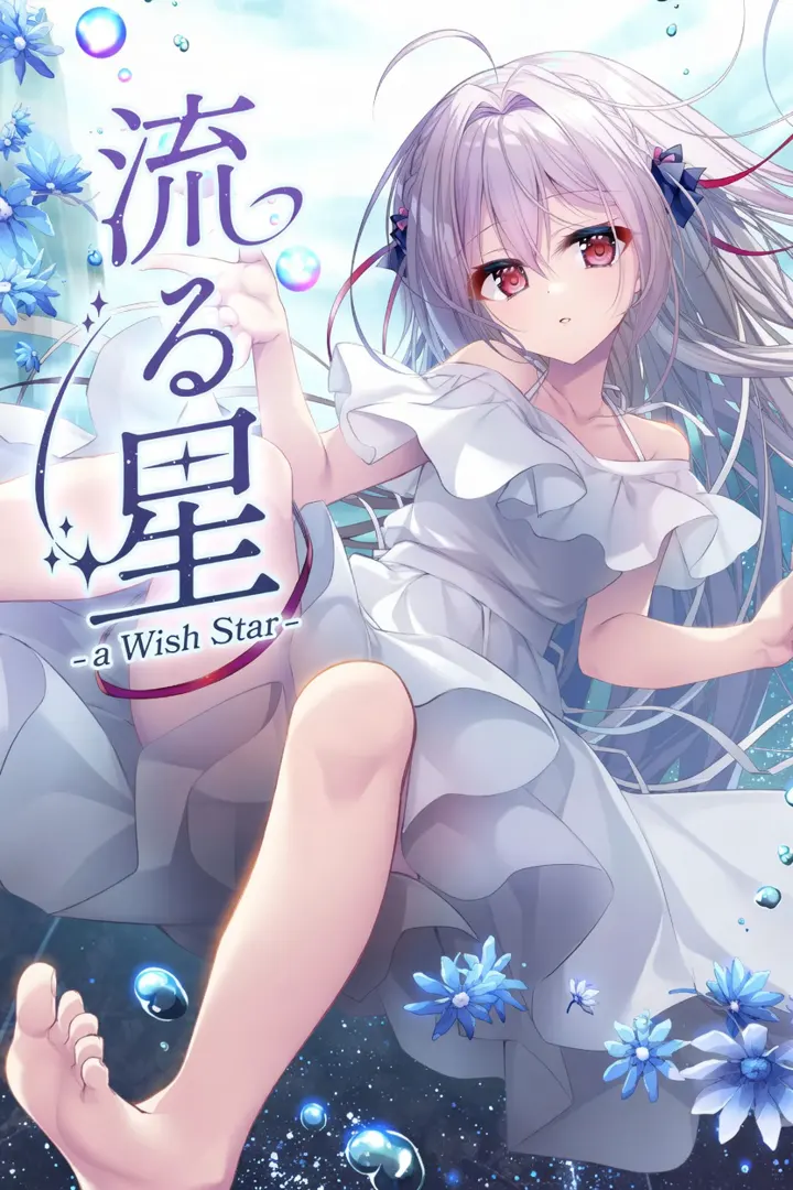 流る星 -A wish star-