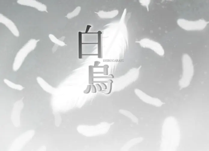 白烏