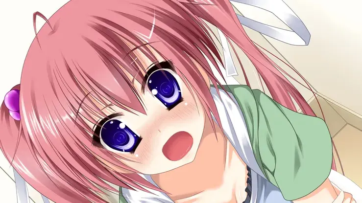 お兄ちゃんは私だけのものなんだからっ!!