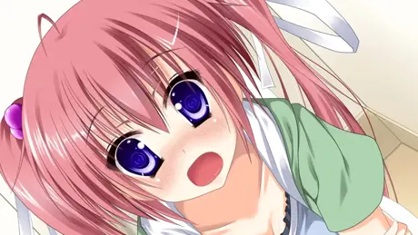 お兄ちゃんは私だけのものなんだからっ!!