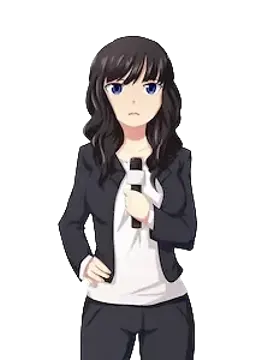 Reporter
