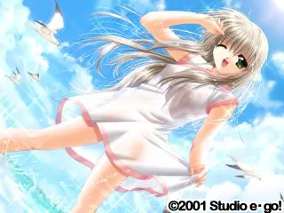ca77005f